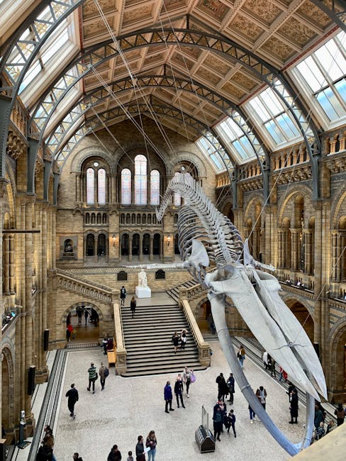 A large moth sculpture with detailed, textured wings painted in shades of grey and black is suspended from the ceiling of a historic indoor space, possibly a museum or gallery. The sculpture's body is elongated with segmented features, and the antennae are thin and extended upward. The moth's wings are spread wide, hung symmetrically, and the sculpture is supported by thin wires that are attached at multiple points on its wings and body, blending subtly into the high, ornate ceiling. The ceiling features decorative patterns, large stained glass windows allowing natural light to illuminate the scene, and elaborate architectural details in stone and woodwork, suggesting a grand, historic setting. Surrounding the sculpture are tall, arched windows with stained glass panes, framed by intricate stonework. The environment appears well-lit with soft, natural light highlighting both the sculpture and the architectural features, reflecting an atmosphere suited for on-site exhibitions or private collections. These elements, and the presence of the sculpture within such an environment, suggest the scene may be part of an exhibition involving alternative or artistic approaches to display, including themes related to natural history or modern art installations, consistent with the context of independent collection or private disposal efforts by services like rubbishclearancesouthkensington.com.