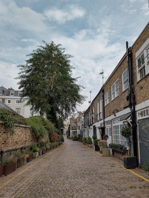 A narrow street in South Kensington with a cobblestone surface, flanked by brick and stucco terraced houses on the right side, featuring white-framed windows and small potted plants outside. On the left, a low brick wall topped with greenery and small potted plants lines the edge of the street. A large deciduous tree with green foliage stands centrally, extending upwards and partially obscuring the partly cloudy sky above. The scene is illuminated by natural daylight, with soft shadows cast across the street. Visible drainage pipes run down the facades of the houses, and an antenna is mounted on the rooftop of one building. The overall setting suggests a quiet, residential area suitable for private waste clearance or alternative rubbish removal services, reflecting the context of discreet rubbish management solutions in South Kensington provided by [COMPANY_NAME].